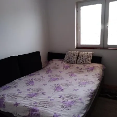 Apartman Dragana 公寓